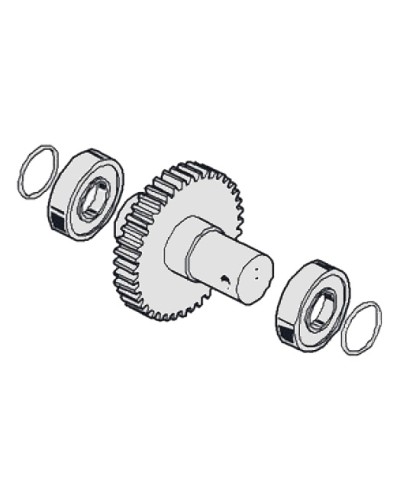 Вал выходной G6000 Came 119RIG054 в Петропавловске-Камчатском Запчасти для шлагбаумов и автоматики Pintop.ru