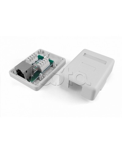 Розетка компьютерная RJ-45(8P8C) Hyperline SB1-1-8P8C-C5e-SH-WH в Петропавловске-Камчатском Розетки компьютерные и телефонные Pintop.ru