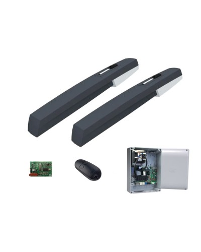 Комплект автоматики для распашных ворот Came AXL combo KIT (до 250 кг до 2,0 м 50%) в Петропавловске-Камчатском Автоматизация ворот Pintop.ru