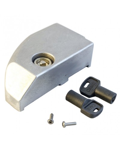 Дверца замка разблокировки BK Came 119RIBK012 в Петропавловске-Камчатском Запчасти для шлагбаумов и автоматики Pintop.ru