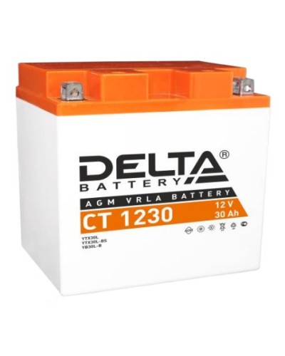 Аккумулятор АКБ 12 - 30 Delta CT 1230 в Петропавловске-Камчатском Электротехническое оборудование Pintop.ru