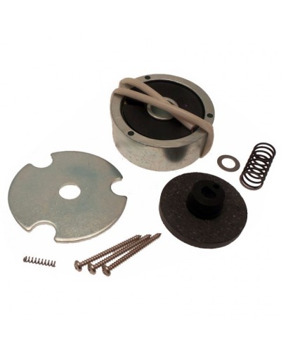 Электромагнит AMICO в сборе Came 119RID274 в Петропавловске-Камчатском Запчасти для шлагбаумов и автоматики Pintop.ru