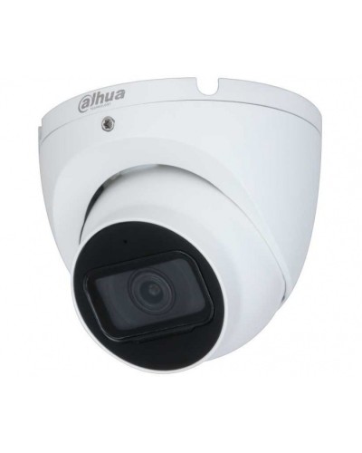 IP-камера видеонаблюдения уличная купольная Dahua DH-IPC-HDW2230TP-AS-0280B-S2 в Петропавловске-Камчатском IP-камеры Pintop.ru