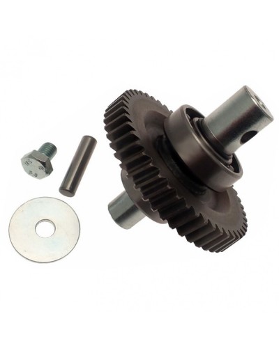 Шестерня редуктора FAST в сборе Came 119RID229 в Петропавловске-Камчатском Запчасти для шлагбаумов и автоматики Pintop.ru