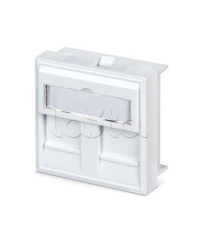 Вставка 45x45 (аналог Mosaic) для 2 модулей формата Keystone Jack Cabeus FP-45-2M в Петропавловске-Камчатском Модули Keystone Pintop.ru