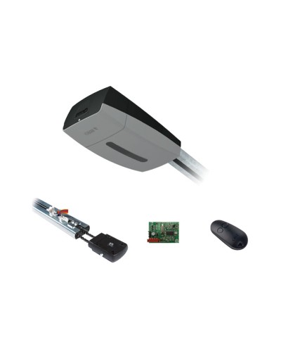 Came V13DMS2.25 KIT (до 2,25 м до 21 м2) - Комплект автоматики для секционных ворот высотой до 2,25 м на основе привода VER13DMS в Петропавловске-Камчатском Устройства радиоуправления для шлагбаумов и автоматики Pintop.ru