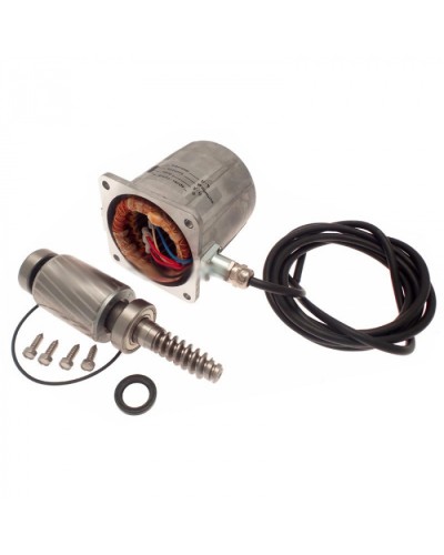 Электродвигатель FROG-A в сборе Came 119RIA061 в Петропавловске-Камчатском Запчасти для шлагбаумов и автоматики Pintop.ru