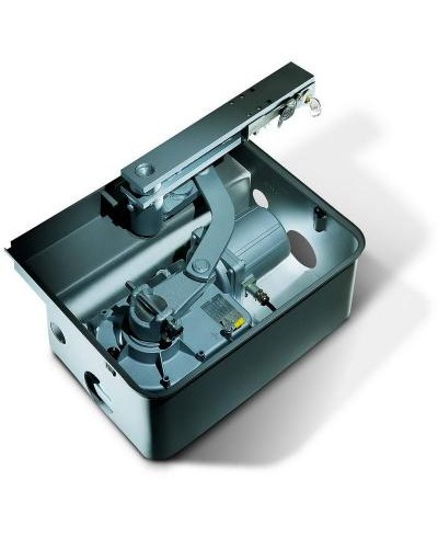 Комплект автоматики для распашных ворот Came FROG 24 (до 800 кг до 3,0 м 100%) в Петропавловске-Камчатском Автоматизация ворот Pintop.ru