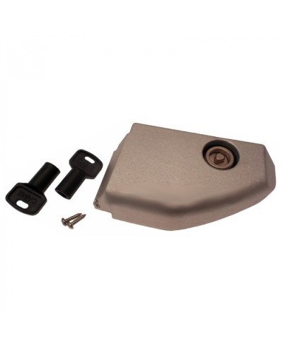 Дверца разблокировки с замком BX Came 119RIBX008 в Петропавловске-Камчатском Запчасти для шлагбаумов и автоматики Pintop.ru