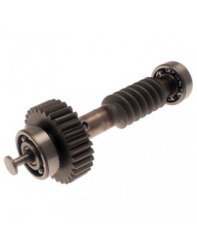 Червяк редуктора FAST в сборе Came 119RID228 в Петропавловске-Камчатском Запчасти для шлагбаумов и автоматики Pintop.ru