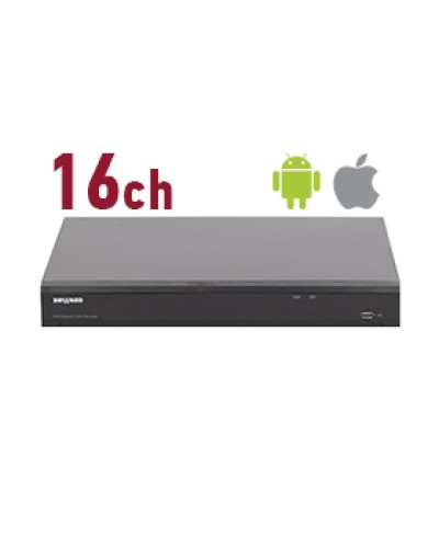 IP-видеорегистратор Beward RK2216 в Петропавловске-Камчатском Системы видеонаблюдения Pintop.ru