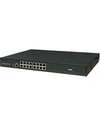 Коммутатор NSGate DAS-2G16GP (47P6018G) в Петропавловске-Камчатском Коммутаторы Pintop.ru
