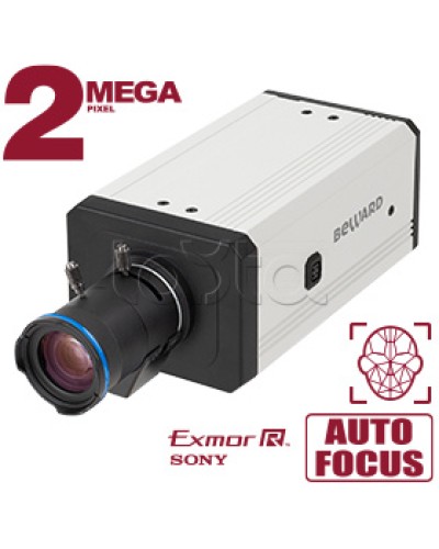 IP-камера видеонаблюдения купольная Beward SV2218M2 в Петропавловске-Камчатском IP-камеры Pintop.ru