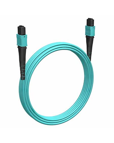 Кабельная сборка MPO(F) -MPO(F)-12 волокон 50/125 OM3, 1 m Cabeus (FOP-50-OM3-12-MPO(F)-12-MPO(F)-B-1m) в Петропавловске-Камчатском Кабельные сборки (оптические) Pintop.ru