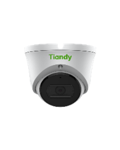 Уличная купольная IP-камера Tiandy TC-C32XN Spec:I3/E/Y/M/2.8mm/V4.1 в Петропавловске-Камчатском IP-камеры Pintop.ru