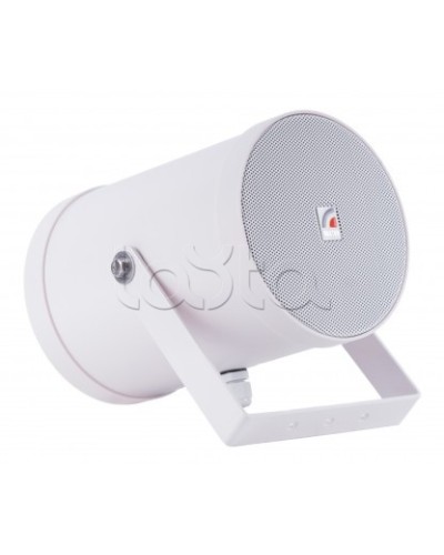 Двунаправленный Прожектор звуковой ROXTON SW-10T2 в Петропавловске-Камчатском Система оповещения и трансляции Roxton Pintop.ru