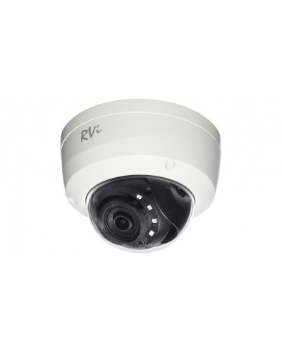 Камера видеонаблюдения купольная RVi-1NCD2024 (2.8) white в Петропавловске-Камчатском IP-камеры Pintop.ru
