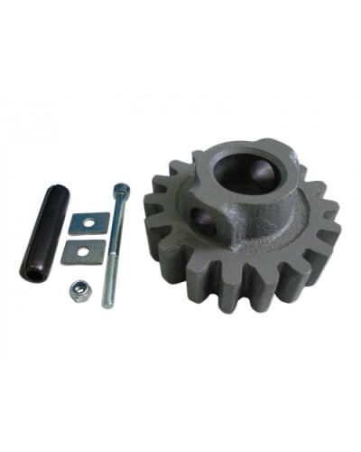 Шестерня ведущая ВК Came 119RIBK002 в Петропавловске-Камчатском Запчасти для шлагбаумов и автоматики Pintop.ru