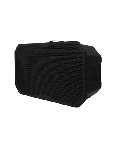 Акустическое устройство DSPPA LRAS-1830 в Петропавловске-Камчатском Система оповещения и трансляции Dsppa Pintop.ru