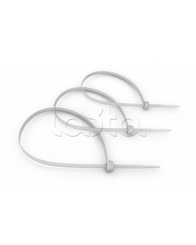 Стяжка нейлоновая неоткрывающаяся, безгалогенная (halogen free) 100x2.5мм, (100 шт) Cabeus CT-100 в Петропавловске-Камчатском Аксессуары для кабель-канала Pintop.ru