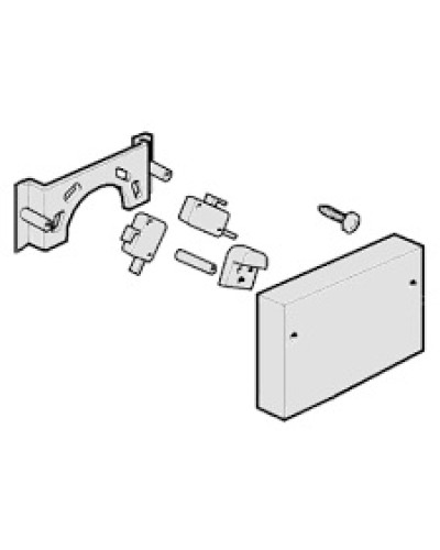 Микровыключатели G4000, G3750 Came 119RIG040 в Петропавловске-Камчатском Запчасти для шлагбаумов и автоматики Pintop.ru