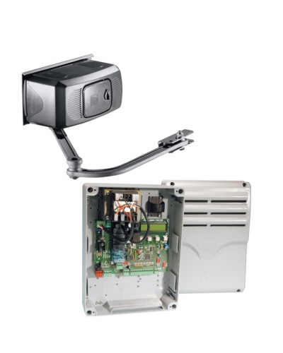 Комплект автоматики для распашных ворот Came FERNI 1024 (до 800 кг до 4,0 м 100%) в Петропавловске-Камчатском Автоматизация ворот Pintop.ru