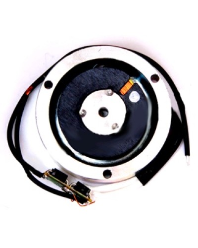 Электромагнит BY1500T Came 119RIY034 в Петропавловске-Камчатском Запчасти для шлагбаумов и автоматики Pintop.ru