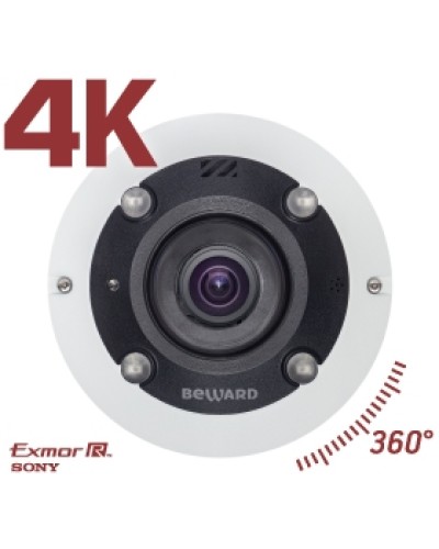 IP камера видеонаблюдения купольная Beward BD3990FL2 в Петропавловске-Камчатском IP-камеры Pintop.ru