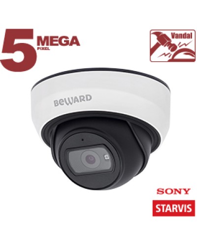 IP-камера видеонаблюдения купольная Beward SV3210DBS в Петропавловске-Камчатском IP-камеры Pintop.ru