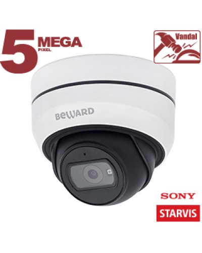 IP-камера видеонаблюдения купольная Beward SV3212DB в Петропавловске-Камчатском IP-камеры Pintop.ru