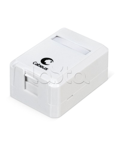 Корпус внешней настенной розетки на 1 Keystone Cabeus MB-1 в Петропавловске-Камчатском Дополнительное оборудование для сетей Pintop.ru