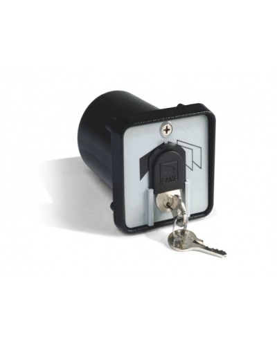 Ключ-выключатель с защитой цилиндра, встраиваемый Came 001SET-K в Петропавловске-Камчатском Запчасти для шлагбаумов и автоматики Pintop.ru