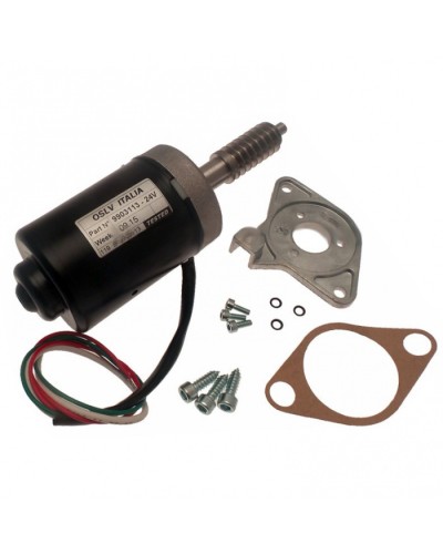 Электродвигатель BX-243 в сборе Came 119RIBX046 в Петропавловске-Камчатском Запчасти для шлагбаумов и автоматики Pintop.ru