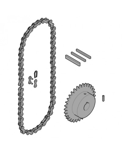 Передающая система (цепь и звездочки) C005 Came 119RICX016 в Петропавловске-Камчатском Запчасти для шлагбаумов и автоматики Pintop.ru