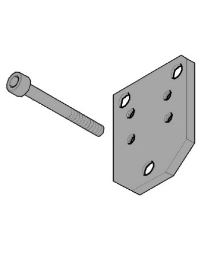 Пластина монтажная FLEX Came 119RID143 в Петропавловске-Камчатском Запчасти для шлагбаумов и автоматики Pintop.ru