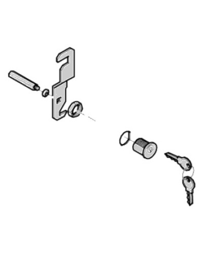 Замок дверцы G4040 G4041 Came 119RIG176 в Петропавловске-Камчатском Запчасти для шлагбаумов и автоматики Pintop.ru