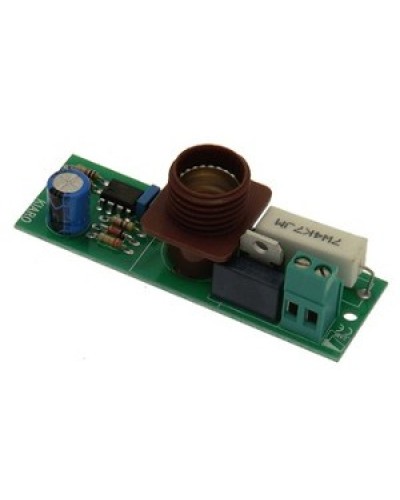 Плата лампы KIARO 24 Came 119RIR030 в Петропавловске-Камчатском Запчасти для шлагбаумов и автоматики Pintop.ru