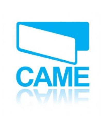 Конденсатор 31 MKF Came 119RIR299 в Петропавловске-Камчатском Запчасти для шлагбаумов и автоматики Pintop.ru