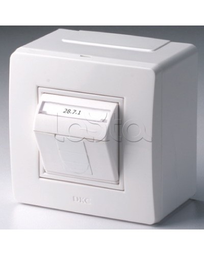 Коробка в сборе с 1 розеткой RJ45, кат.5е (телефон / компьютер), белая DKC 10665 в Петропавловске-Камчатском Распределительные коробки Pintop.ru