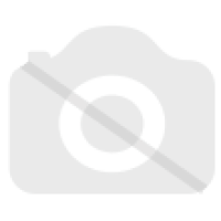 Щеточный буртик на алюминиевом держателе 300*45 ЕKF Basic (2шт) EKF (BSCE3045C) EKF (BSCE3045C)