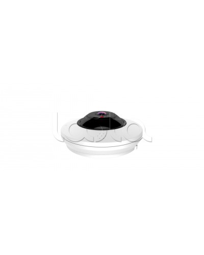 IP-камера видеонаблюдения компактная EverFocus ACE-RB29 в Петропавловске-Камчатском IP-камеры Pintop.ru