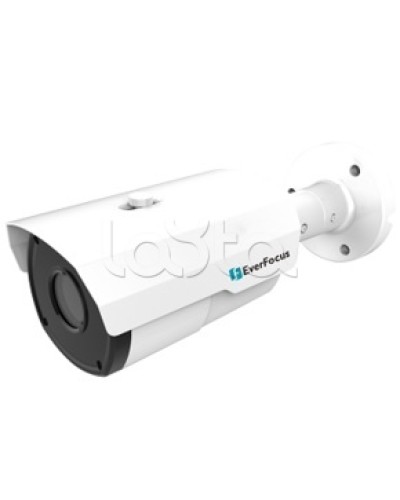 IP-камера видеонаблюдения в стандартном исполнении EverFocus EZN-1250 в Петропавловске-Камчатском IP-камеры Pintop.ru