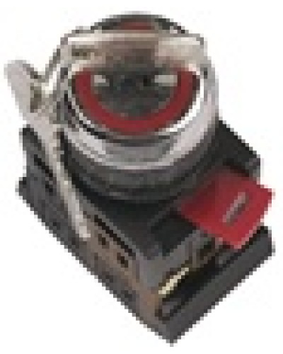 Переключатель AKS-22 с ключом на 2 фиксир.положения I-O 1з+1р черный IEK BSW10-AKS-2-K02 в Петропавловске-Камчатском Аксессуары для стоек и шкафов Pintop.ru