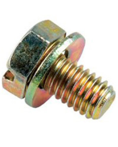 Винт с шайбой М6х10мм TH Legrand 036775 в Петропавловске-Камчатском Крепеж Pintop.ru