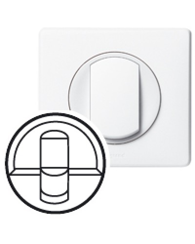 Клавиша для выключателя Celiane Legrand 068251 в Петропавловске-Камчатском Аксессуары для кабель-канала Pintop.ru