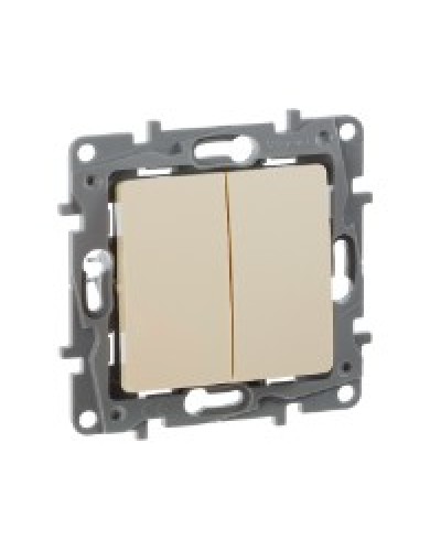 Переключатель двухклавишный 10AX Plus Legrand 672312 в Петропавловске-Камчатском Аксессуары для кабель-канала Pintop.ru