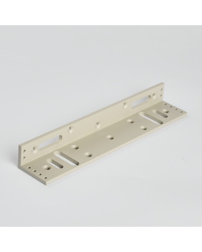 Монтажный аксеcсуар R-Lock RL-BR280-LG в Петропавловске-Камчатском Дополнительное оборудование для СКУД Pintop.ru