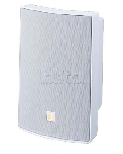 Громкоговоритель универсальный двухполосный TOA BS-1030W в Петропавловске-Камчатском Системы оповещения и трансляции TOA Pintop.ru