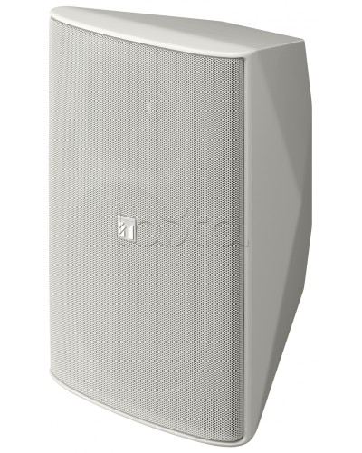 Громкоговоритель 2 полосный TOA F-2000 WT в Петропавловске-Камчатском Системы оповещения и трансляции TOA Pintop.ru