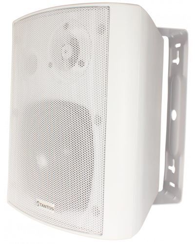 Громкоговоритель Tantos TSo-SW20k в Петропавловске-Камчатском Акустические системы Pintop.ru